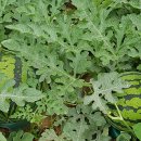 박정식농장 이미지