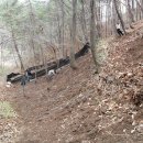 영심농장 이미지