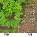 백두환경 이미지