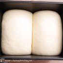 식빵210