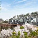 소백산자연휴양림 이미지