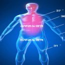 경희피레토한의원 이미지