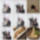 경기도 수원시 팔달구 경수대로656번길, 월드컵로321번길 | 12월 일상 3 | 망포역 한정식 남도 재재재재재방문, 다옴칼국수, 소금우유 홈런볼