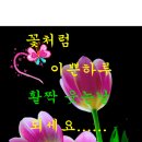 이쁜하루