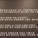 아야진's 동태탕