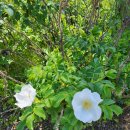 검암공원 이미지