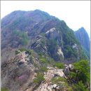 봐 하니, 호시절 다가기 전에~.../ 에 이미지