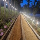 진도공설운동장 이미지