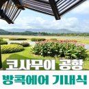 홍쥬스컵 | 코사무이 신혼여행 2일차｜방콕에어웨이 기내식, 코사무이 공항, 태국 현지 음식 후기