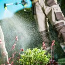 유성대로(유성-36) 이미지