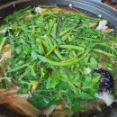 신참면