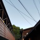 고쓰몰 네이버블로그