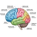 퍼스트 피지오 짐 이미지