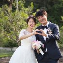 싱글로 티브이데일리