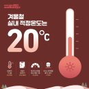 20도