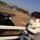 승한목장 이미지