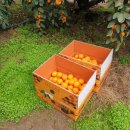 민성이네 농장 이미지