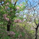 천마산(등산로입구)화장실 | 부산 정관 망월산~매암산~당나귀봉