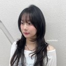 데이즈안