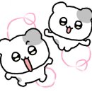 이츠 글라시스 안경 이미지