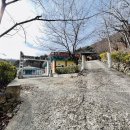 삼백육십오일사 네이버블로그