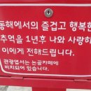 묵호등대바람의언덕논골카페 이미지