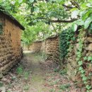 도룡마을 이미지