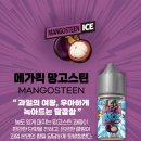 I전자 네이버블로그