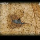 [미제사건] 개구리소년 실종사건 이미지