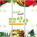 코코양양