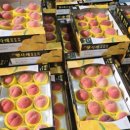 영일 농장 이미지