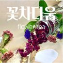다움 이미지