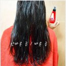 오일스타㈜ | 헤어오일추천 가인화장품 오일먼트 ! 간편 트리트먼트 추천
