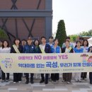 곡성군청 이미지