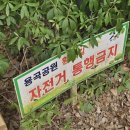 용곡약수터 네이버블로그