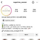 슈가트리(sugar tree)