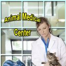 포토샵(GTQ 1급) 이미지