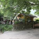 잎새바람 이미지