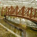 안산 식물원 이미지