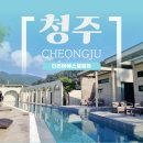 AM풀빌라 | 청주 독채펜션 / 해외 감성 낭낭한 더리버에스풀빌라 B01 후기