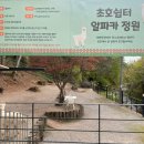 잉어 | 파주 초리골164｜아이랑 가볼만한 자연 속 감성카페 후기 (잉어밥 체험, 주차, 운영시간 정보)