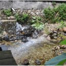 UR(공주시)-[동학사1로]-상-11 | 공주맛집 돈금정 | 12년째 사랑받는 동학사 고기 맛집 솔직 후기