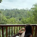 머먹을래 | 발리여행 파드마 리조트 우붓 조식 후기! 운영시간, 조식 꿀팁 공유