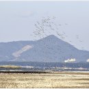 새들의천국 이미지