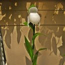 고운솜씨 Daum카페