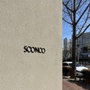 러브 | 대구 대봉동 예물반지,웨딩밴드 투어 (수누주얼리,퓨어러브) 후기 ,가격 💍