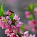 장수건강 이미지