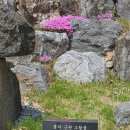 군내면 사무소 이미지