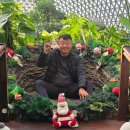 웰리스팜 | 2026년 1월 거제 아이랑 가볼한곳 - 거제정글타워 &amp; 거제정글돔 체험 후기