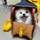 솔지슈퍼 | 놀랍게도 7월 일상